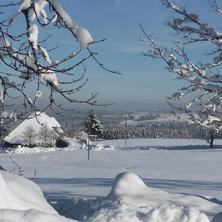 Hoehenpension Glashuette Bed&Breakfast Fruehstueckspension Hotel Garni 본도르프임슈바르츠발트 외부 사진