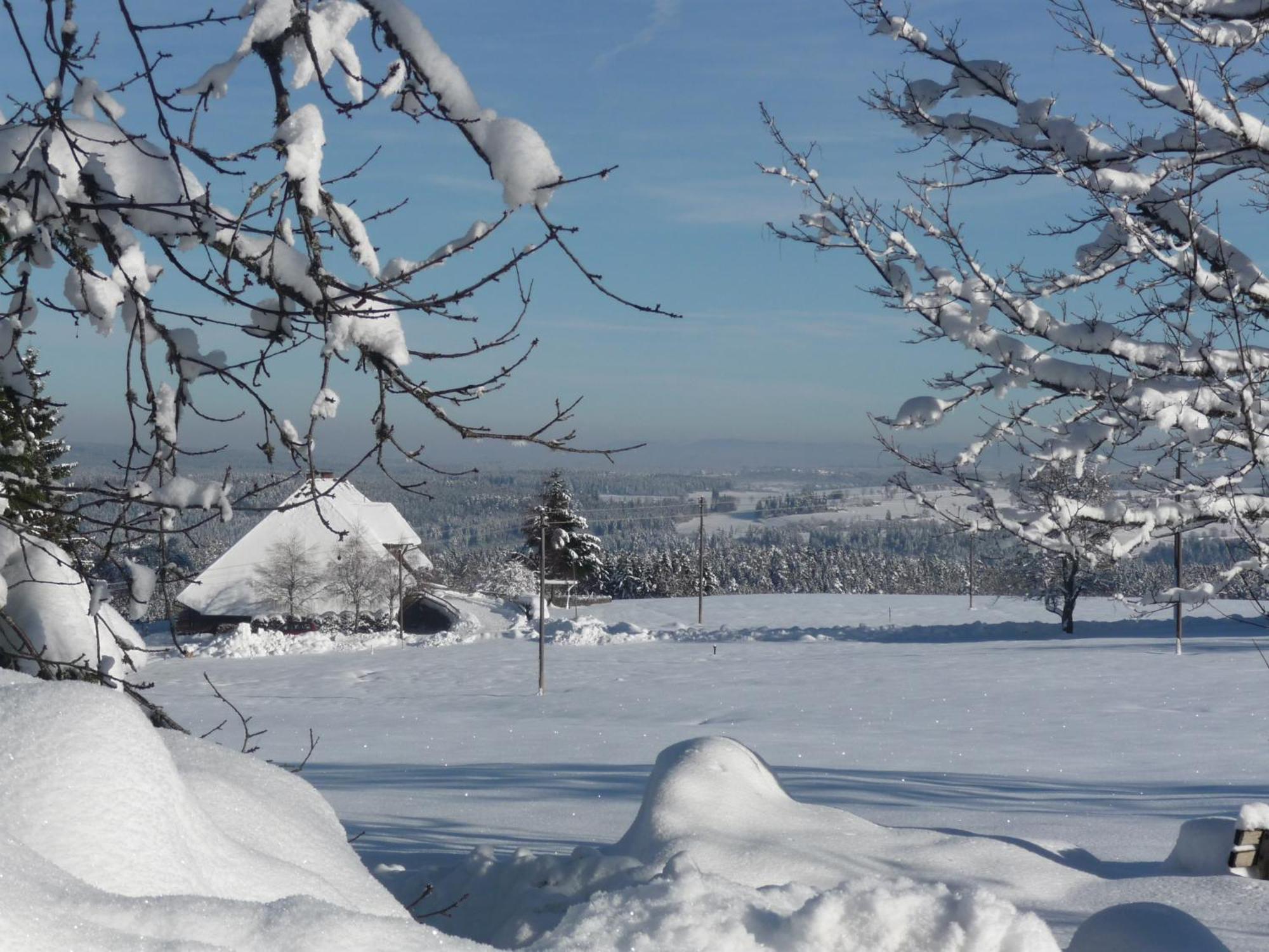 Hoehenpension Glashuette Bed&Breakfast Fruehstueckspension Hotel Garni 본도르프임슈바르츠발트 외부 사진