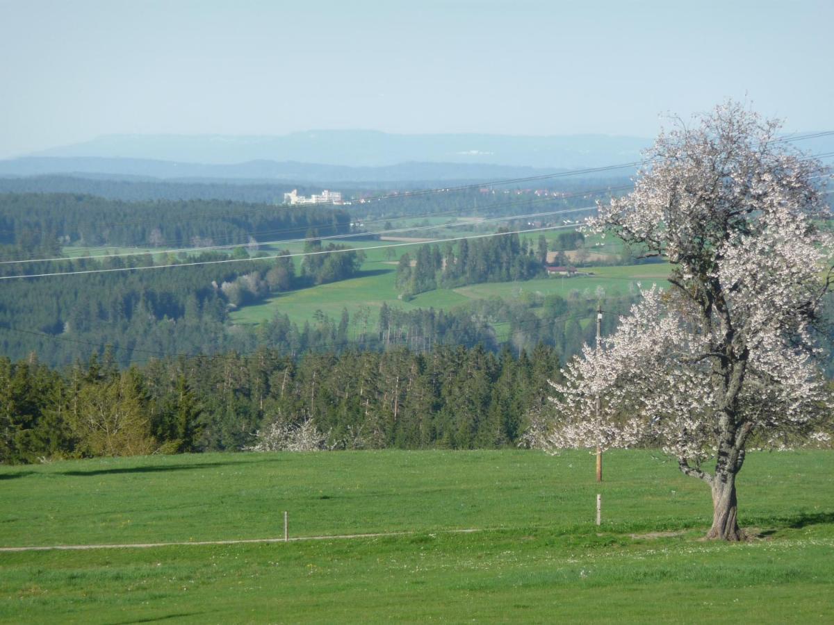 Hoehenpension Glashuette Bed&Breakfast Fruehstueckspension Hotel Garni 본도르프임슈바르츠발트 외부 사진